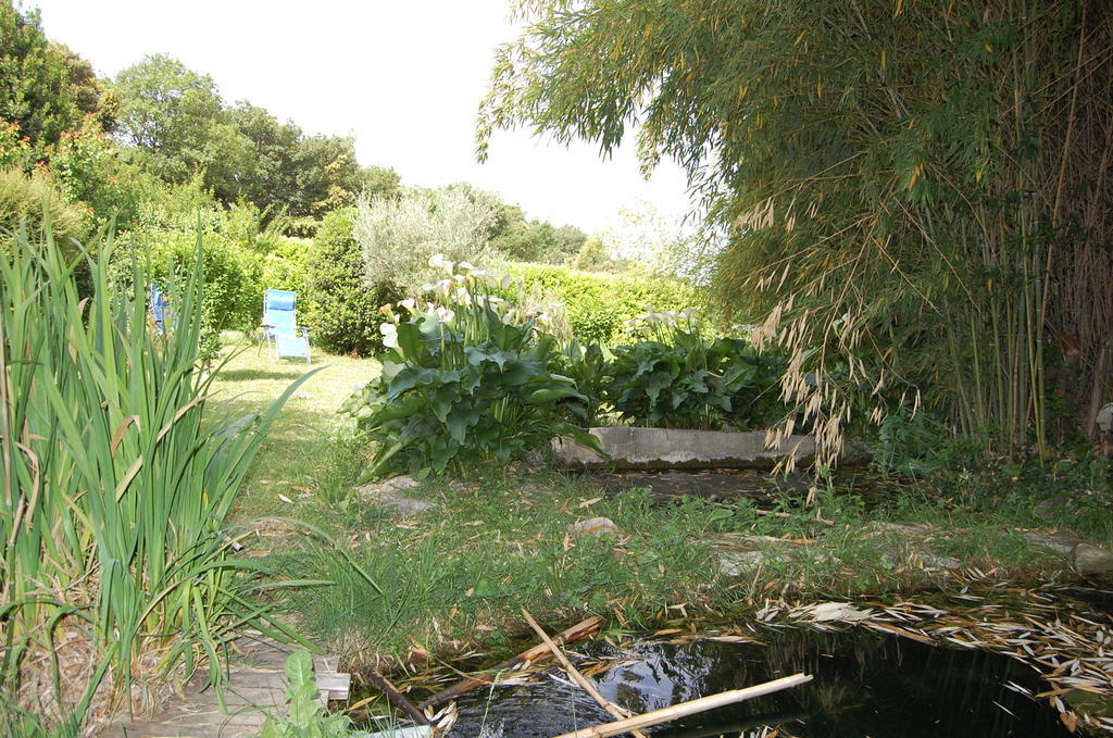 Gite Le Gre Chantemerle-les-Grignan Exterior photo